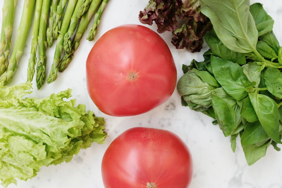 Polyphenols and Gut Bacteria: How Plant Compounds Feed Beneficial Microbes - The Biohacking