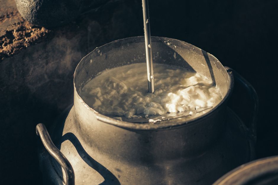 Probiotics After Antibiotics: Timing, Strains, and Duration Protocol - The Biohacking