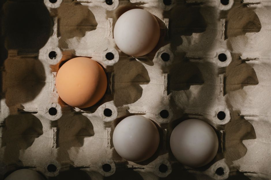 Polyphenols and Gut Bacteria: How Plant Compounds Feed Beneficial Microbes - The Biohacking